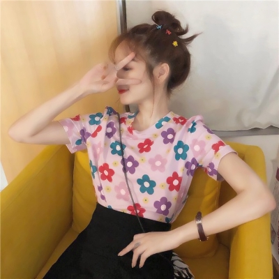 仙梦奇缘gm版下载